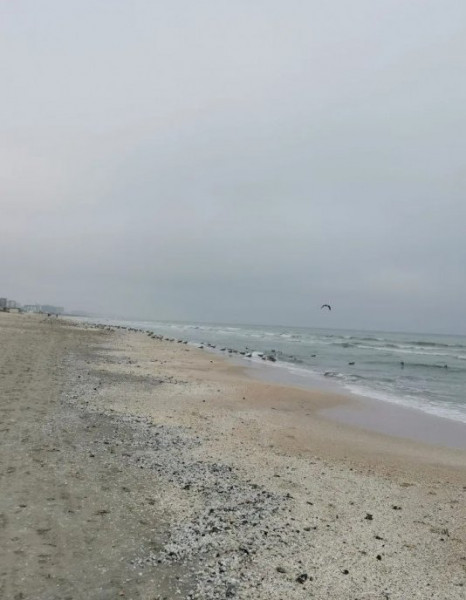 Apartament 2 Camere - Mamaia - Butoaie - Utilat Complet - Termen Lung